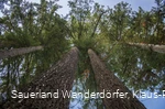 Himmelssäulen bei Medebach-Glindfeld