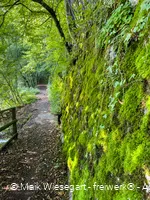 Zuweg Sauerlandroute 2