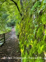 Zuweg Sauerlandroute 2