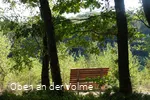 Waldsofa am Wegesrand