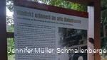 2446321