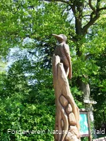 Naturerlebnis Wald Meerhof Specht