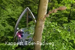 Auf dem Baumkronenweg Edersee