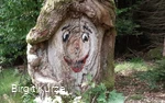 Waldbaden Kierspe Birgit Kurze