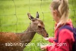Wildpark