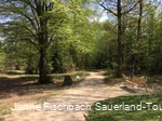 Naturerlebnispfad Hohe Bracht