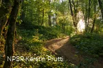 Soul place hike.png