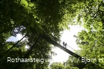 Hängebrücke bei Kühhude am Rothaarsteig