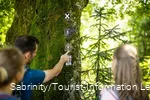 Wandern auf dem Veischeder Sonnenpfad