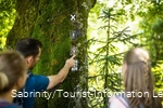 Wandern auf dem Veischeder Sonnenpfad
