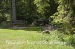 kneippanlage-waschkump8 c) tourist-information-willingen.jpg