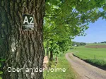 Wanderwegmarkierung