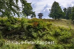 Seelenort-schwalenburg-wallring_c__klaus-peter_kappest.jpg