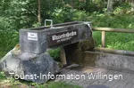 kneippanlage-waschkump7 c) tourist-information-willingen.jpg