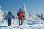 Snowshoe hike (Schmallenberg Sauerland Tourism - Klaus-Peter Kappe).jpg