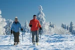 Sneeuwschoenwandeling (Schmallenberg Tourismus - Klaus-Peter Kappe).jpg