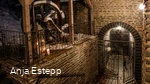 1I4A6844, copyright Susanne Müller, photographer Anja Estepp.jpg