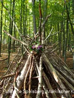 Wald-Tipi