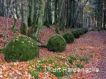 Work of art by the wayside: Green planets