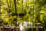 The Almequellen springs with their mysticism are a very special destination for an excursion.