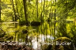 De Almequellen met hun mystiek zijn een heel bijzondere bestemming voor een excursie.
