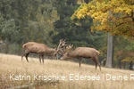 WildtierPark