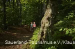 Wanderer auf der Sauerland-Waldroute