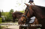 Twee ruiters met hun paarden.