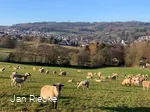 Blick vom Waldstadion