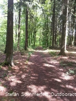 Schöne Wege durch den Wald