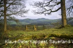 Sauerland-Seelenort Kahlen