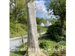 Tipizelte an der Sauerland-Waldroute