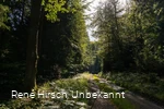 Rahrbacher Poesieweg Richtung Welschen Ennest