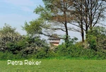 Motte in Neuenrade-Küntrop