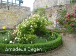 Rosengarten in Battenberg (Eder)