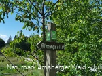 Wegweiser Brilon Almequellen - Sauerland-Waldroute