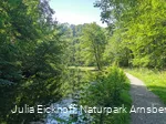 Die Almequellen