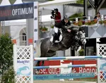 Een springpaard op de Balve Optimum show.