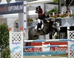 Een springpaard op de Balve Optimum show.