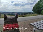 Aussicht Sagenort