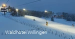 Skipiste K1 bij het Willingen.jpg