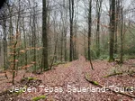 Naturbelassener Pfad