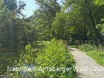 Park an den Almequellen Brilon