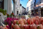 Shoppingmeile Innenstadt.jpg
