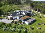 Panorama uitzicht Willingen.jpg