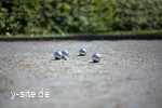 abenteuergolf-willingen-boule.jpg