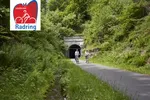 radring-teaser_front_large.jpg