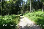 Breite Schotterwege und naturnahe Pfade prägen das Bild des Rundwanderweges