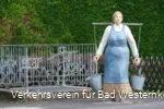 Alltagsmensch Wasserträgerin
