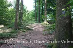 Spannende Wegeverläufe auf dem Streckenabschnitt des Qualitätwanderweges Sauerland Höhenflug